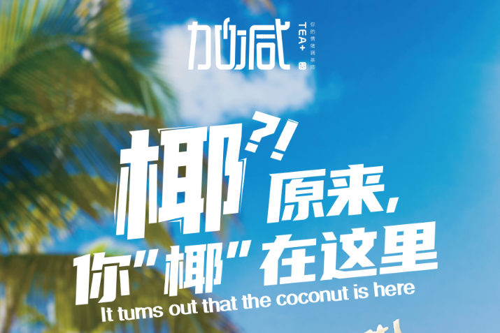 365体育官网椰子系列新品火爆上市